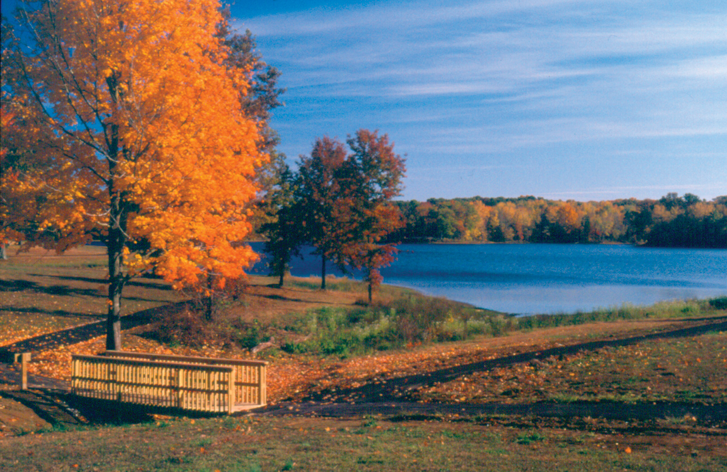 New Lake
